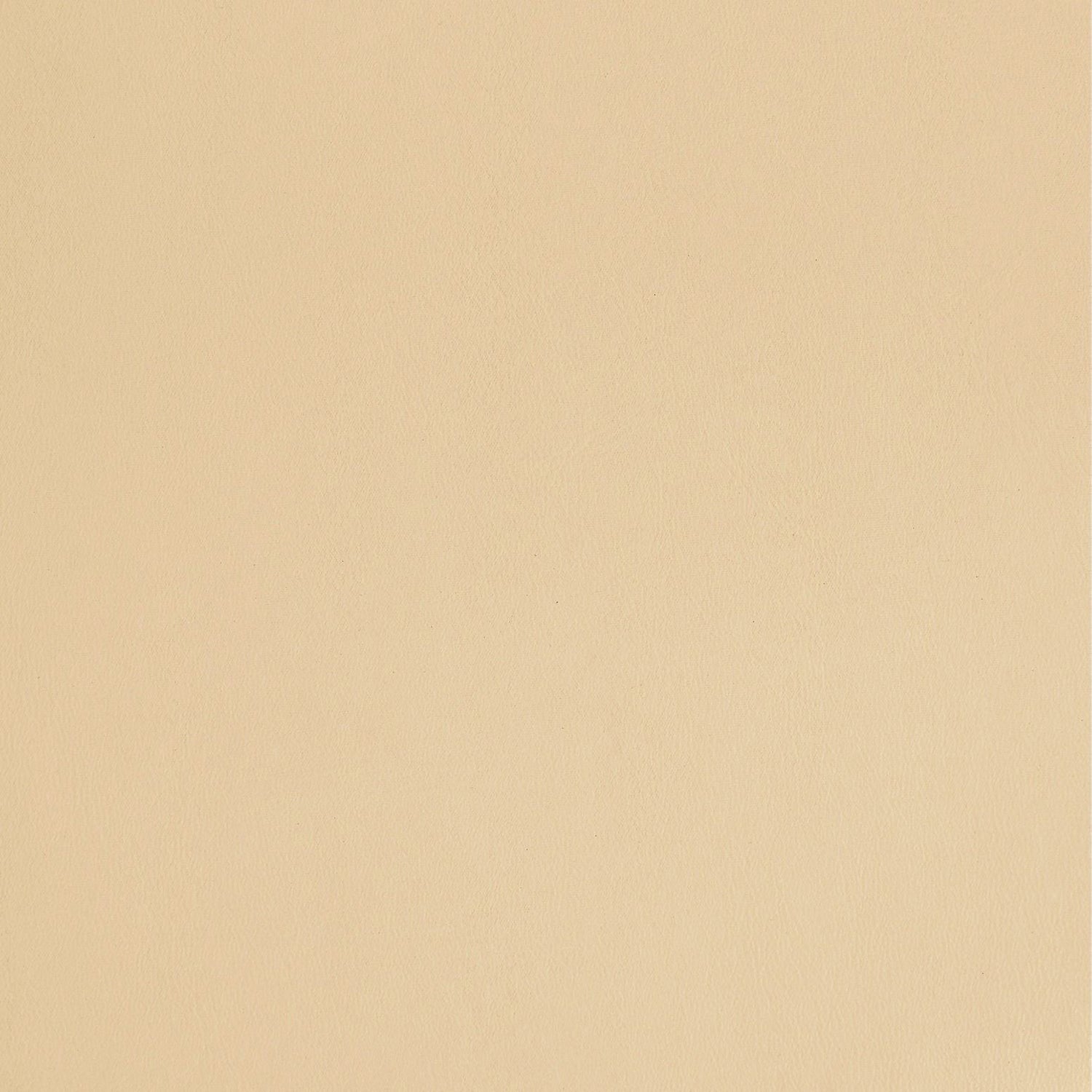 Interlude Home Soren Counter Stool Set of 2