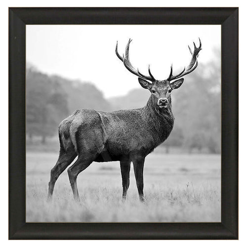 PhotoInc Studio Proud Deer Framed Art