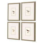 Simmons Shorebirds Framed Art Set of 4