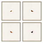 Cech Butterfly Framed Art Set of 4