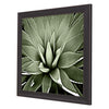 Jenson Green Succulent III Framed Art