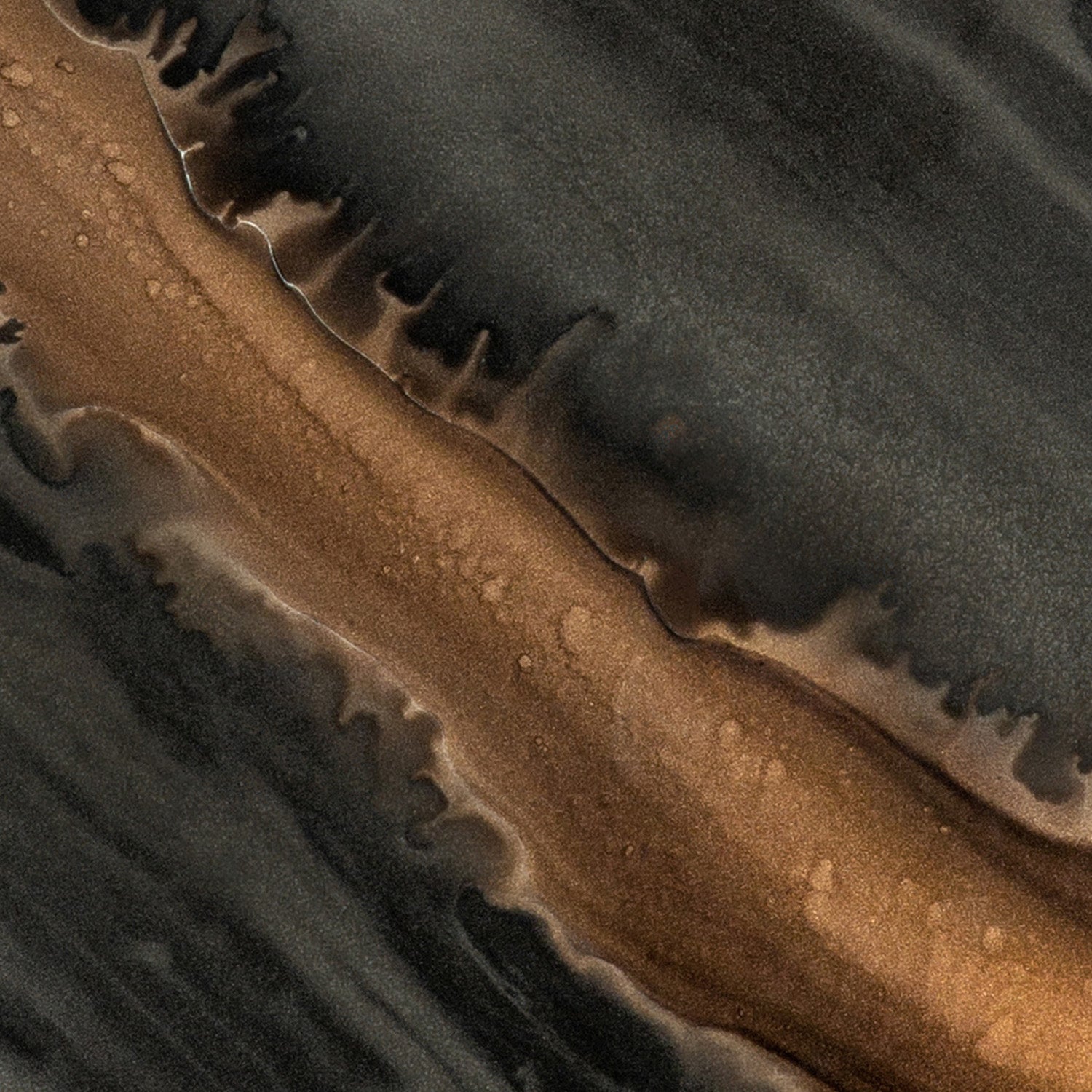 Ethnicraft Organic Large Glass Tray