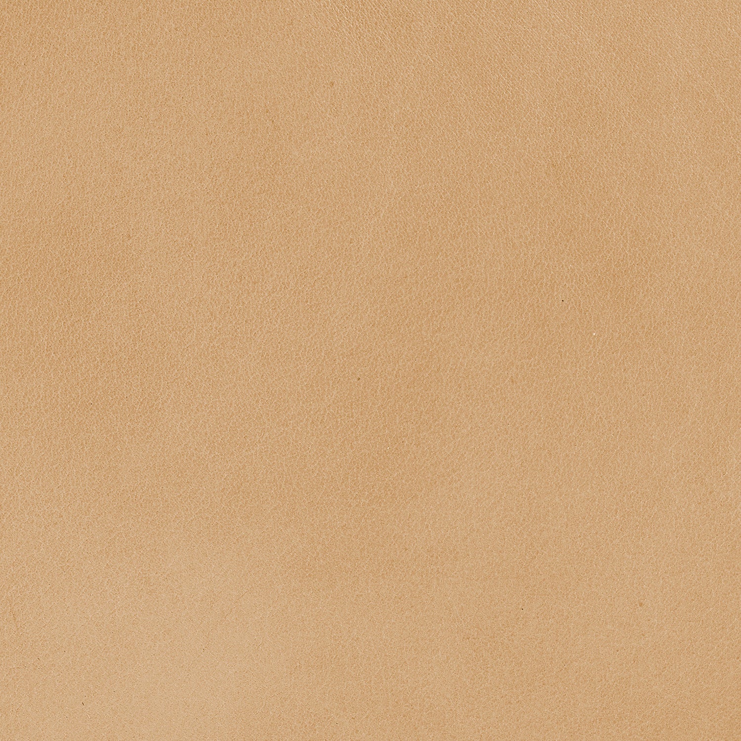 Jamie Young Alessa Sling Chair