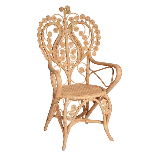 Jamie Young Hibiscus Arm Chair