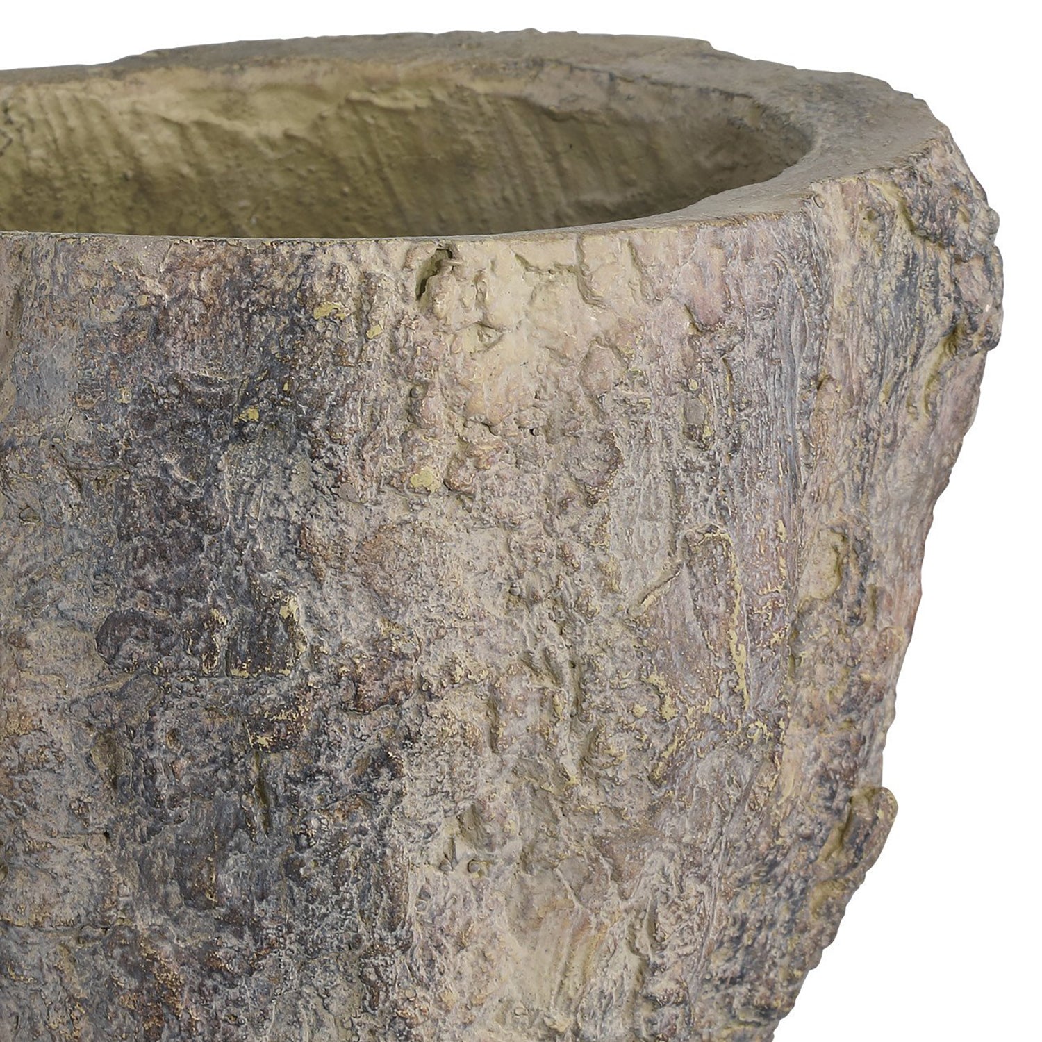 Currey & Co Old Growth Planter