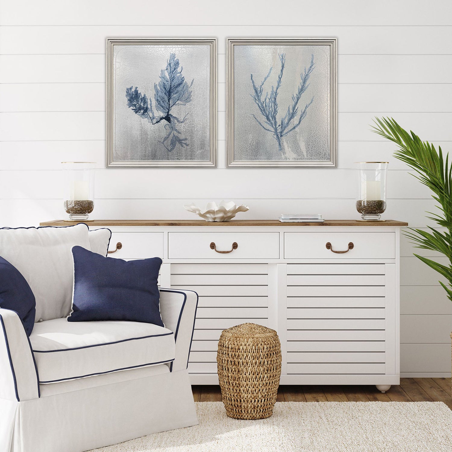 The Studio Oceanic Curiosity I Framed Art Set of 2