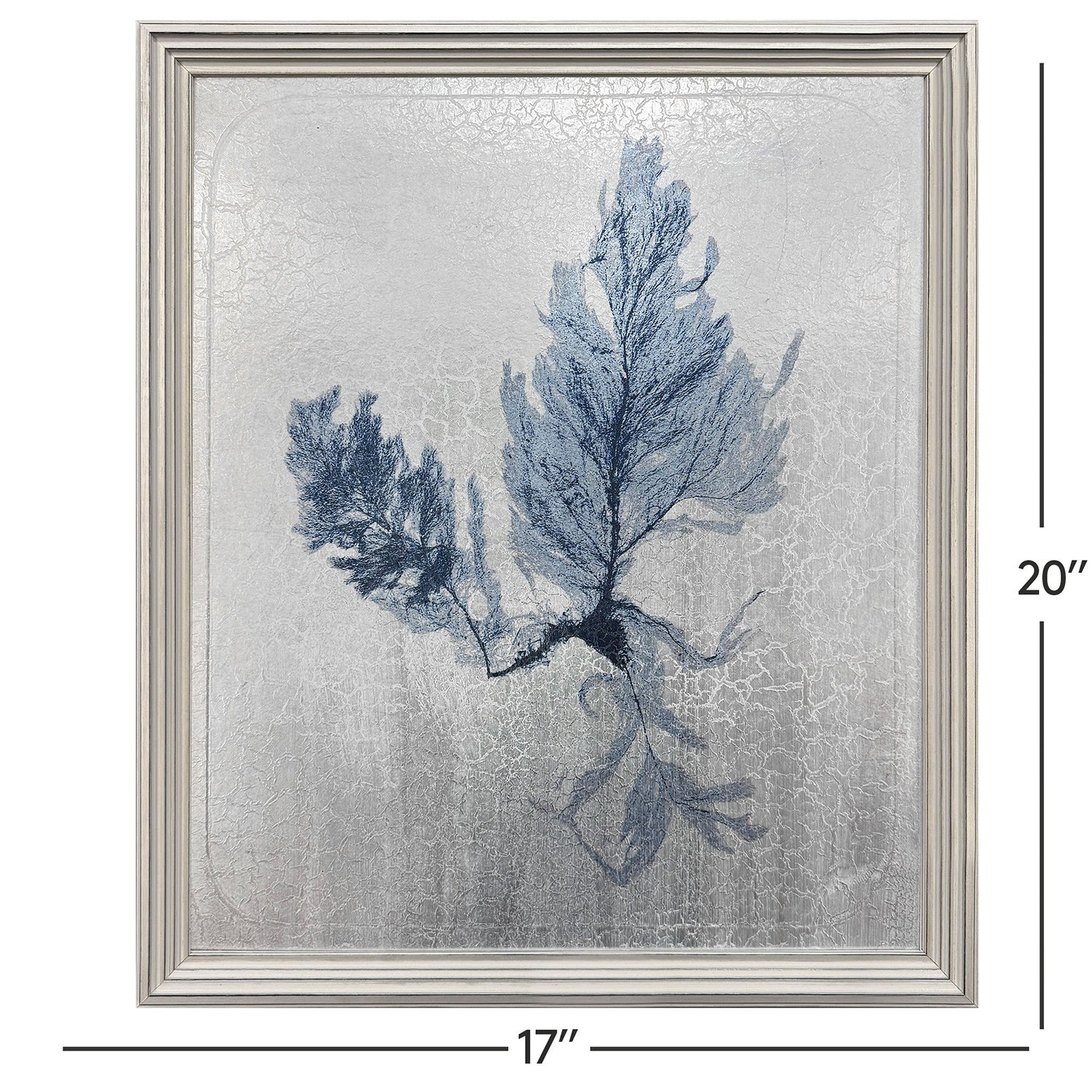 The Studio Oceanic Curiosity I Framed Art Set of 2