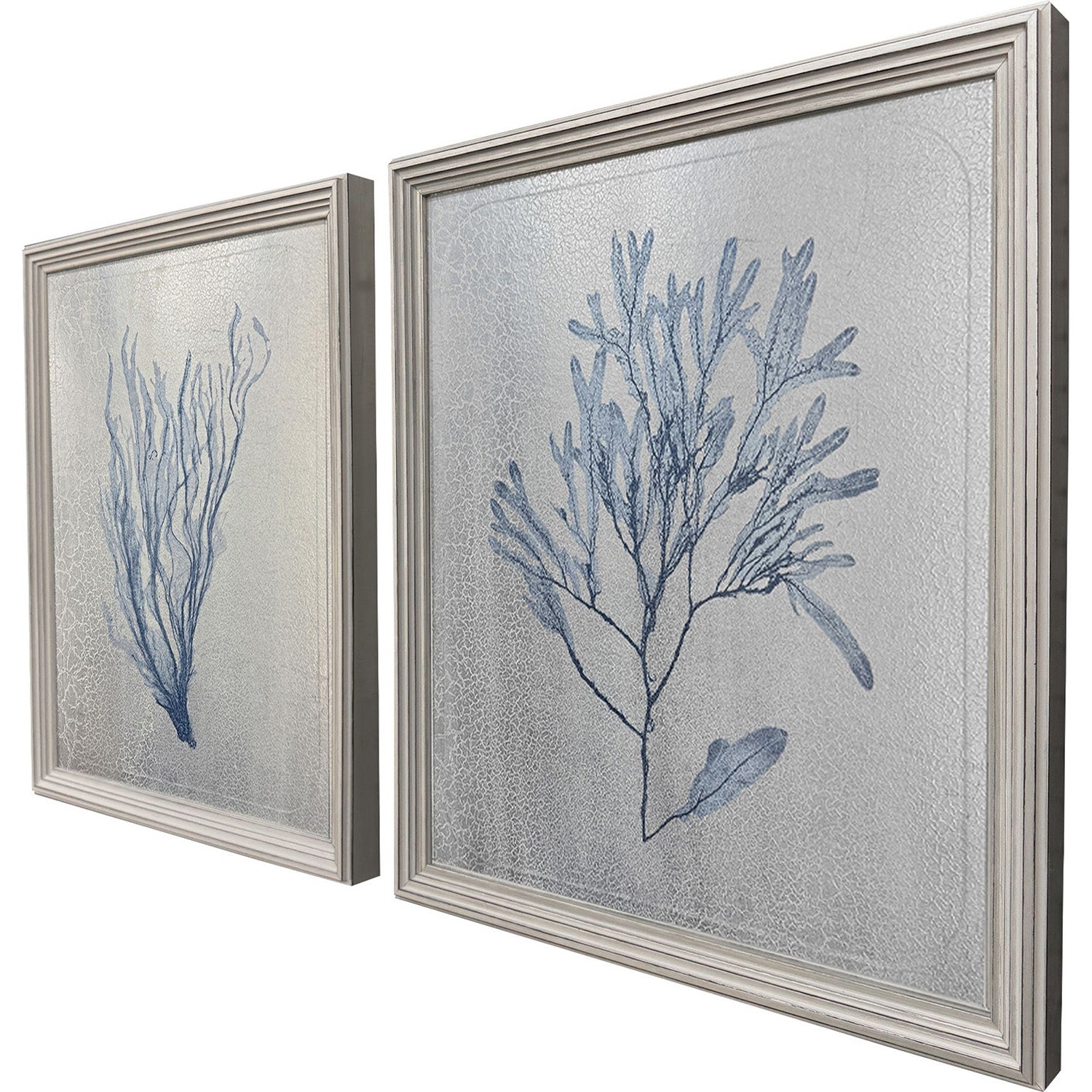 The Studio Oceanic Curiosity II Framed Art Set of 2
