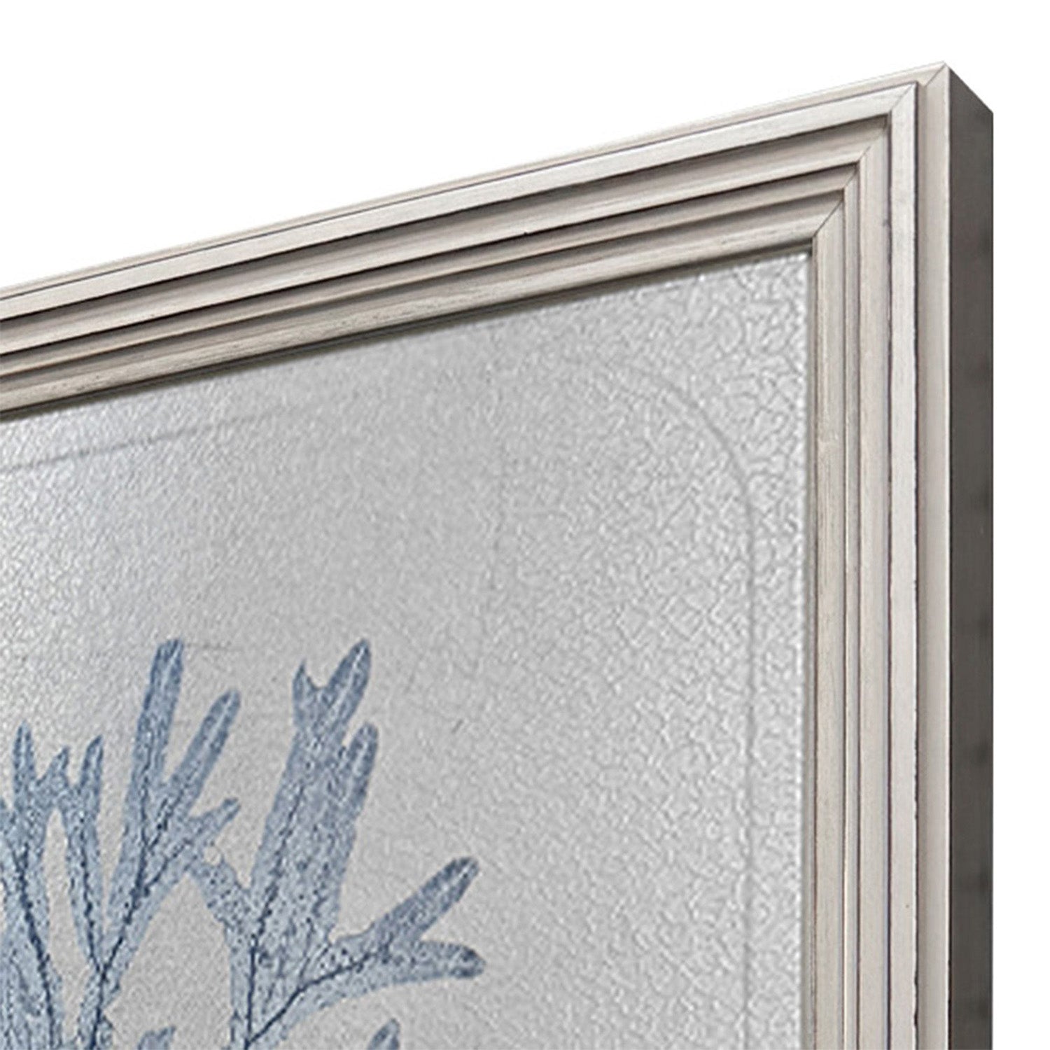 The Studio Oceanic Curiosity II Framed Art Set of 2