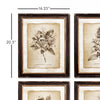 Framed Vintage Floral Print Wall Art Set of 6