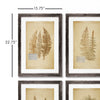 Framed Vintage Fern Print Wall Art Set of 8