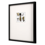 AH Collection Mantra I Shadow Box Framed Art