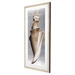 Langdon Mordern Shell II Framed Art