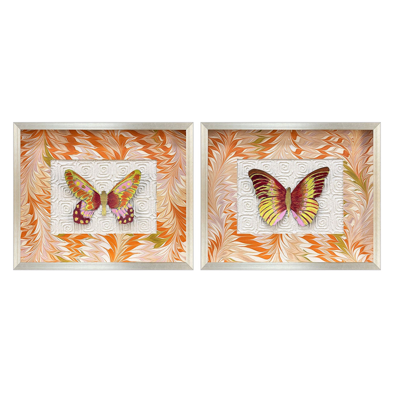 Adamson-Ray Flight Patterns II Framed Artwork Set of 2