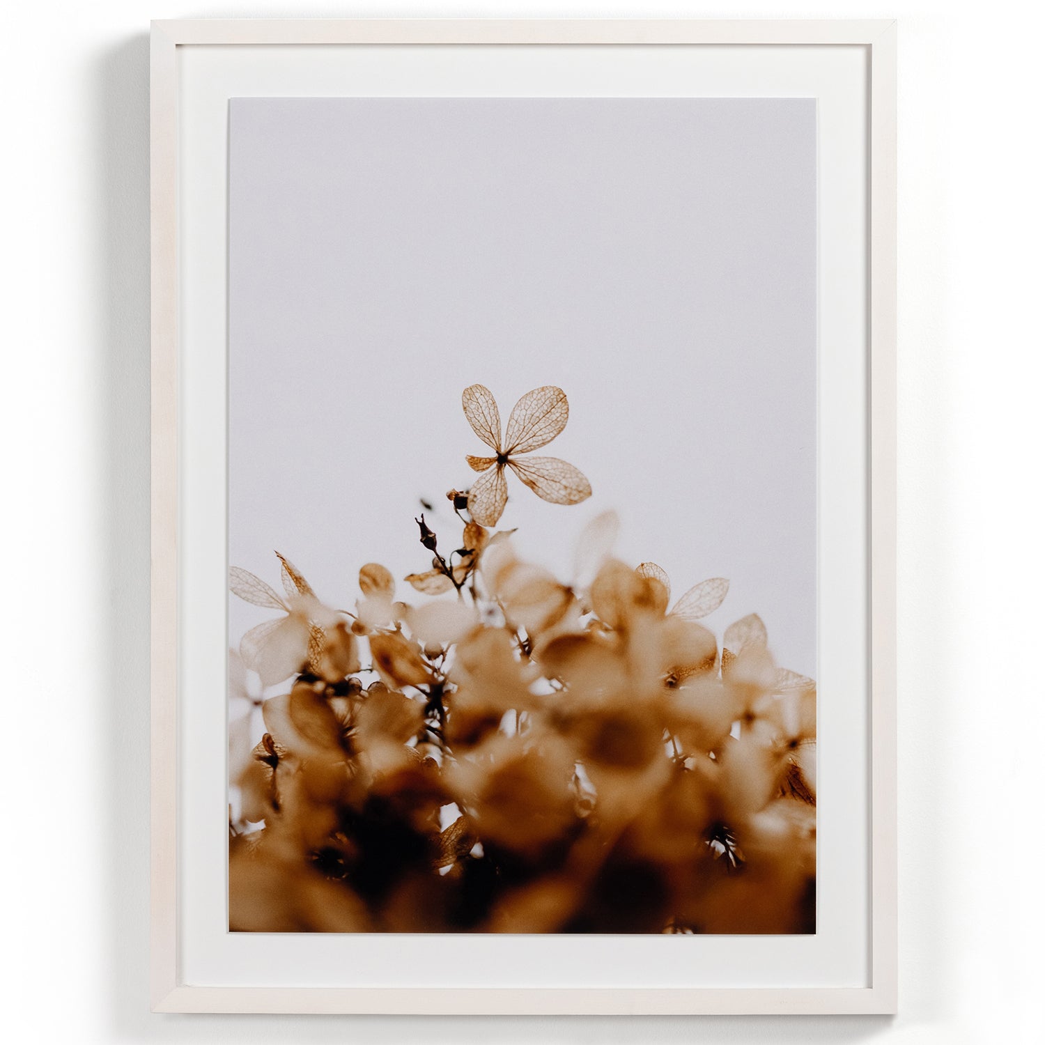 Four Hands Greetings Framed Artwork