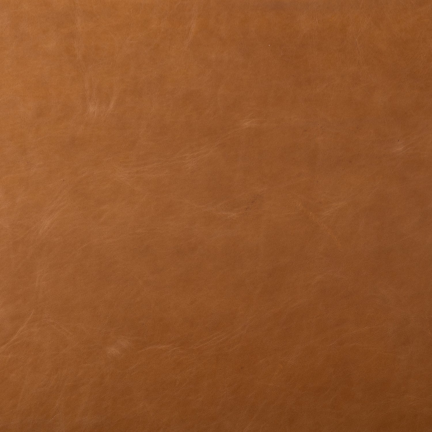 Four Hands Kena Dining Chair Set of 2