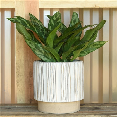 Ramos Vertical Stripe Cachepot