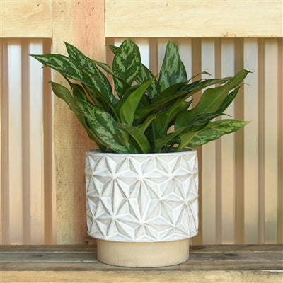 Ramos Geometric Cachepot