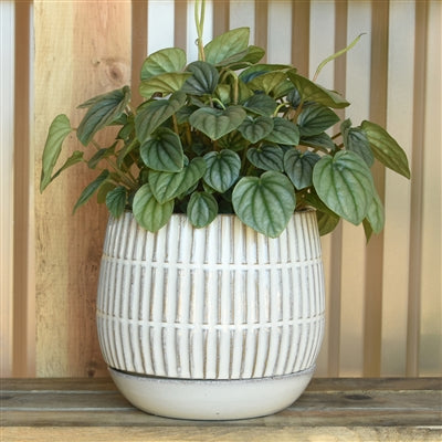 Ramos Linear Cachepot