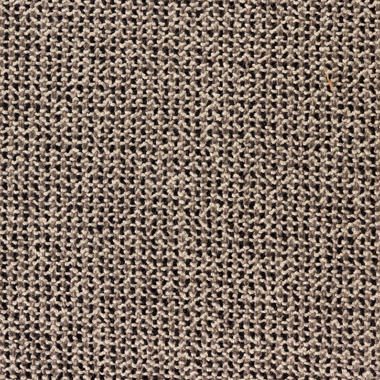 Four Hands Ferris Two Tone Dining Armchair Set of 2