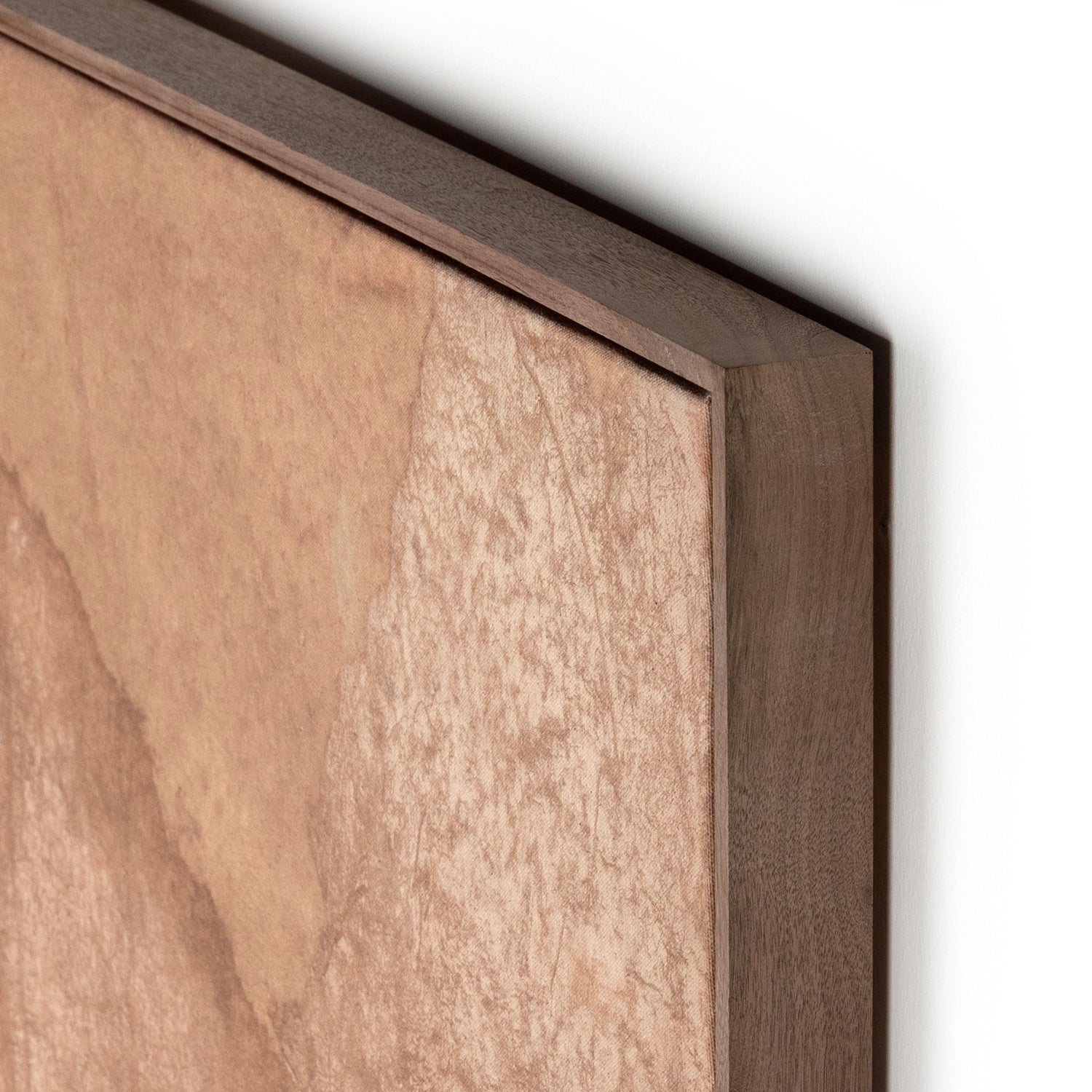 Four Hands Unforeseen Beauty Framed Artwork