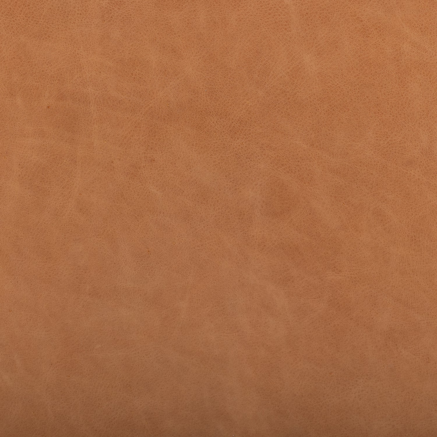 Four Hands Amur Dining Armchair Set of 2 - Final Sale