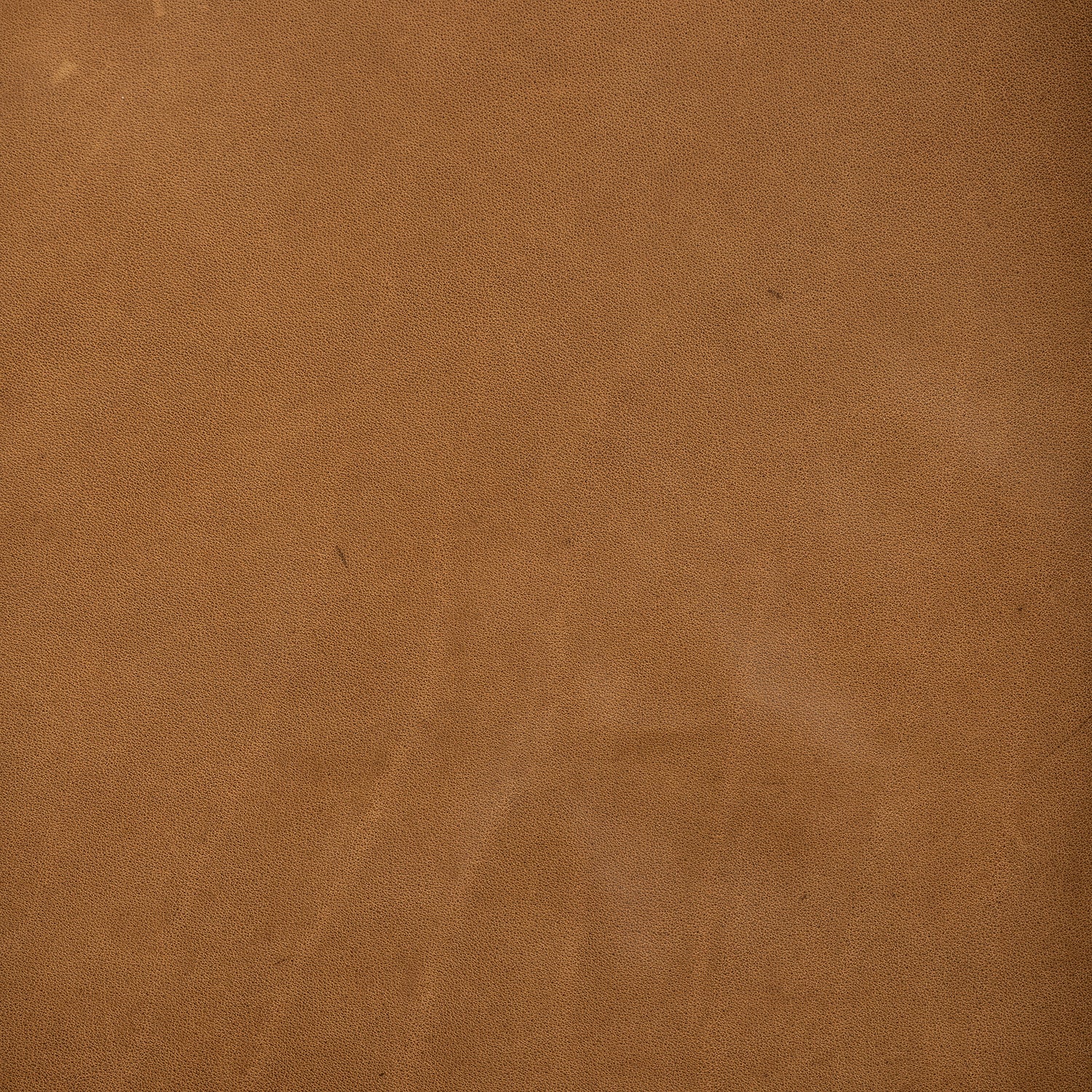 Four Hands Dane Chair