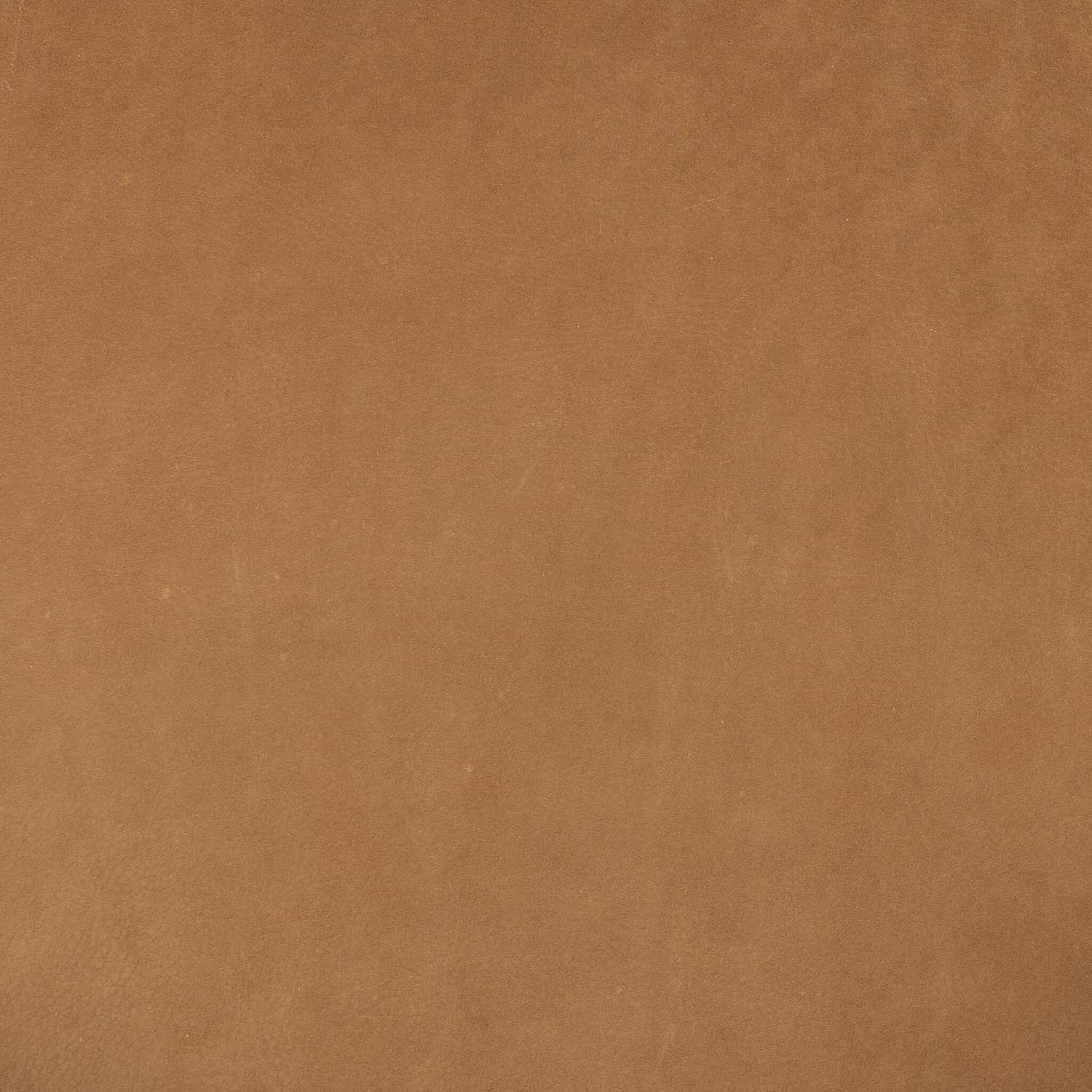 Four Hands Sandro Arm Chair