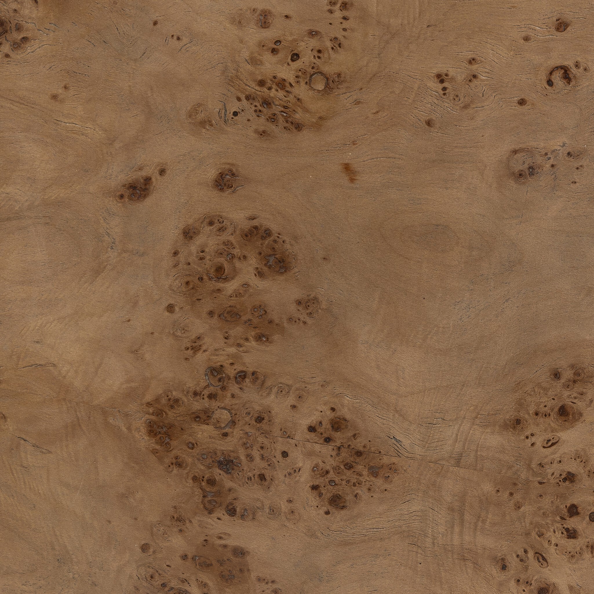 Four Hands Caya Caramel Burl Coffee Table detail view