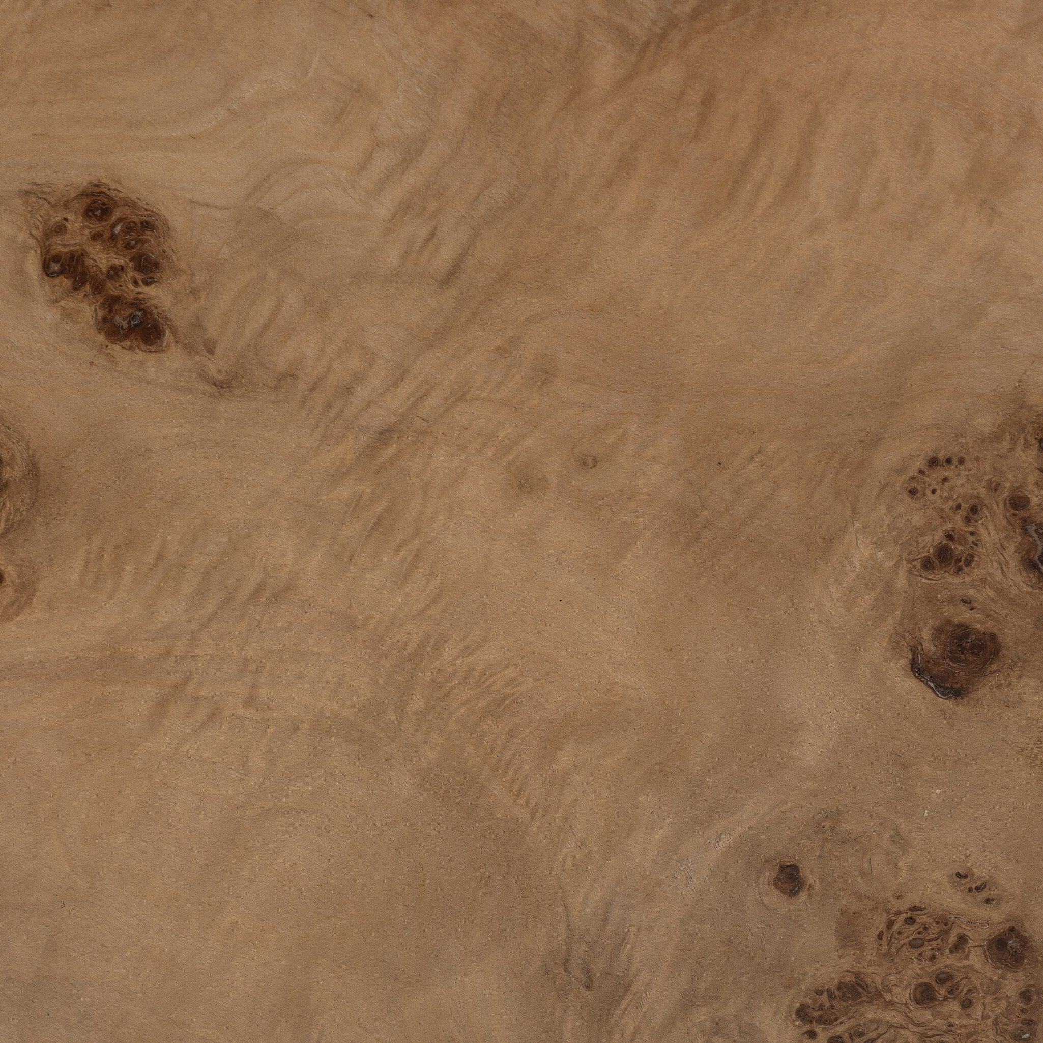 Four Hands Caya Caramel Burl End Table detail view