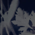 Four Hands x Coup D'esprit Cyanotype Botanical I Framed Art