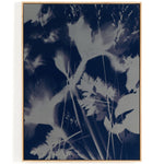Four Hands x Coup D'esprit Cyanotype Botanical I Framed Art