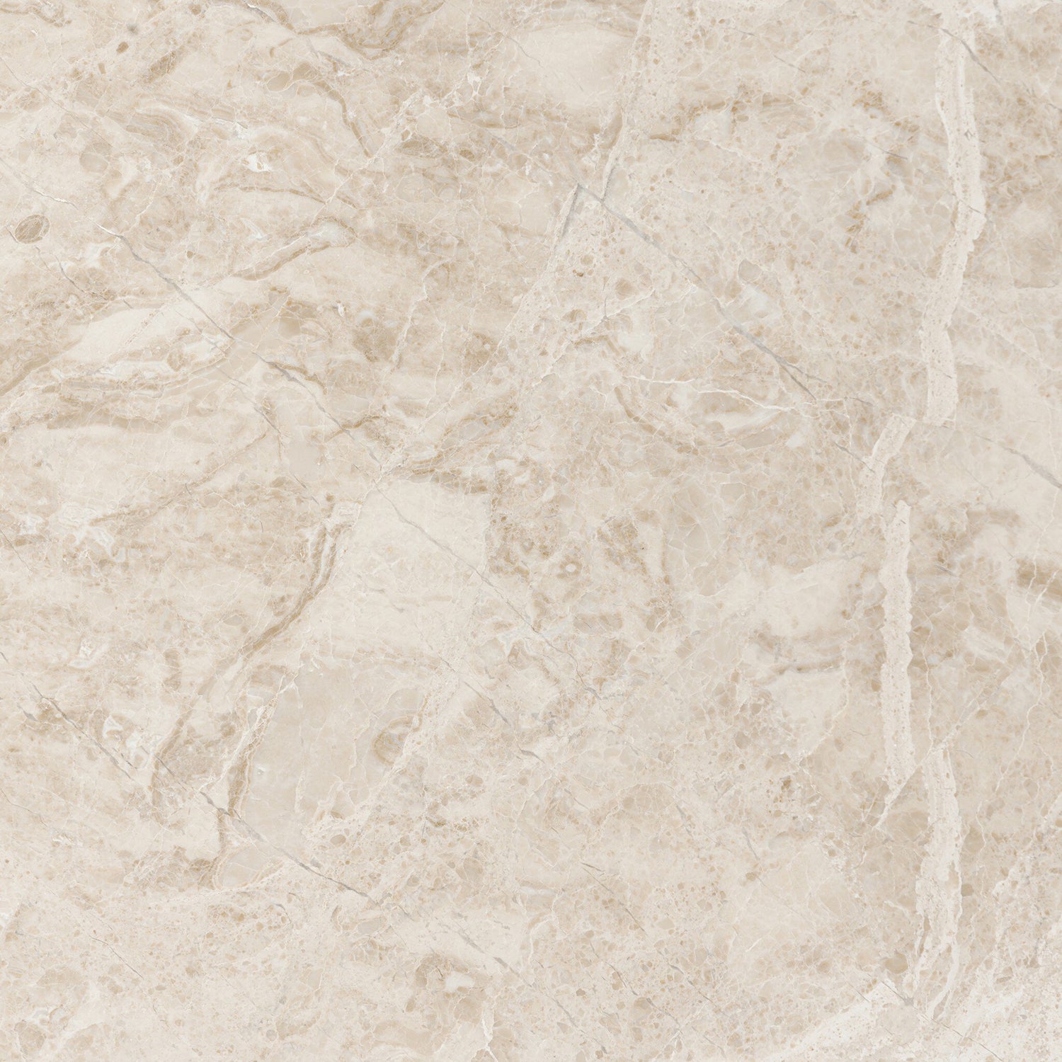 Four Hands Toro Coffee Table