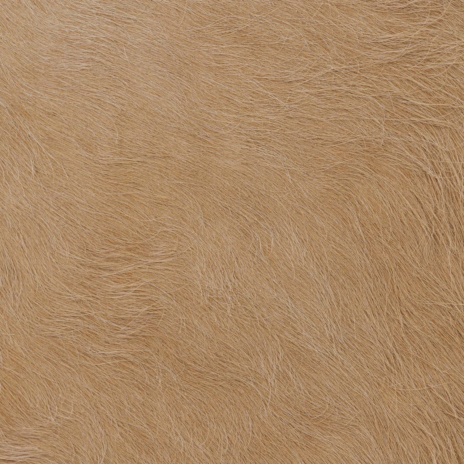 Four Hands Knox Accent Bench