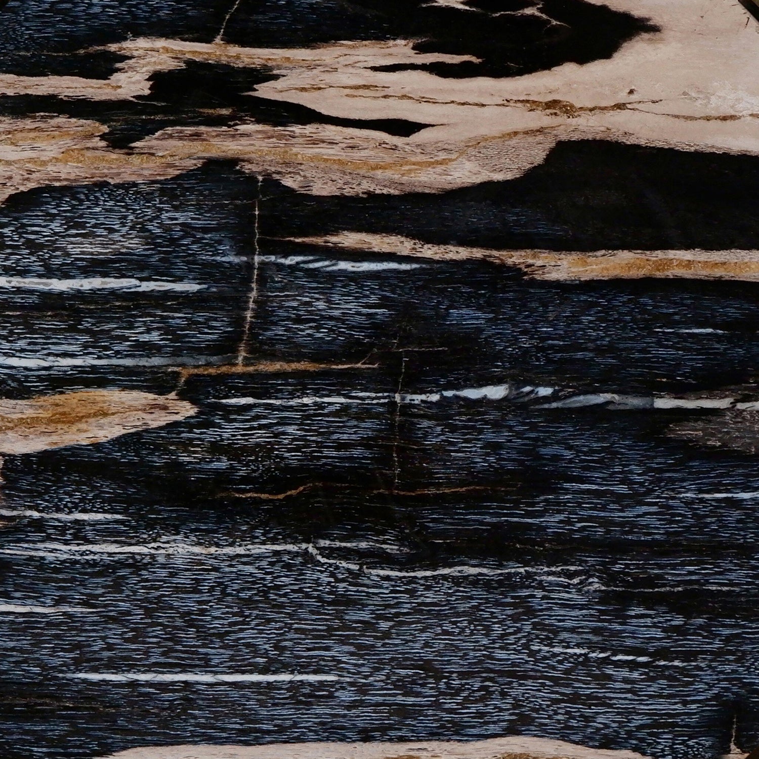 Four Hands Petrified Wood Knot Tabletop Accent