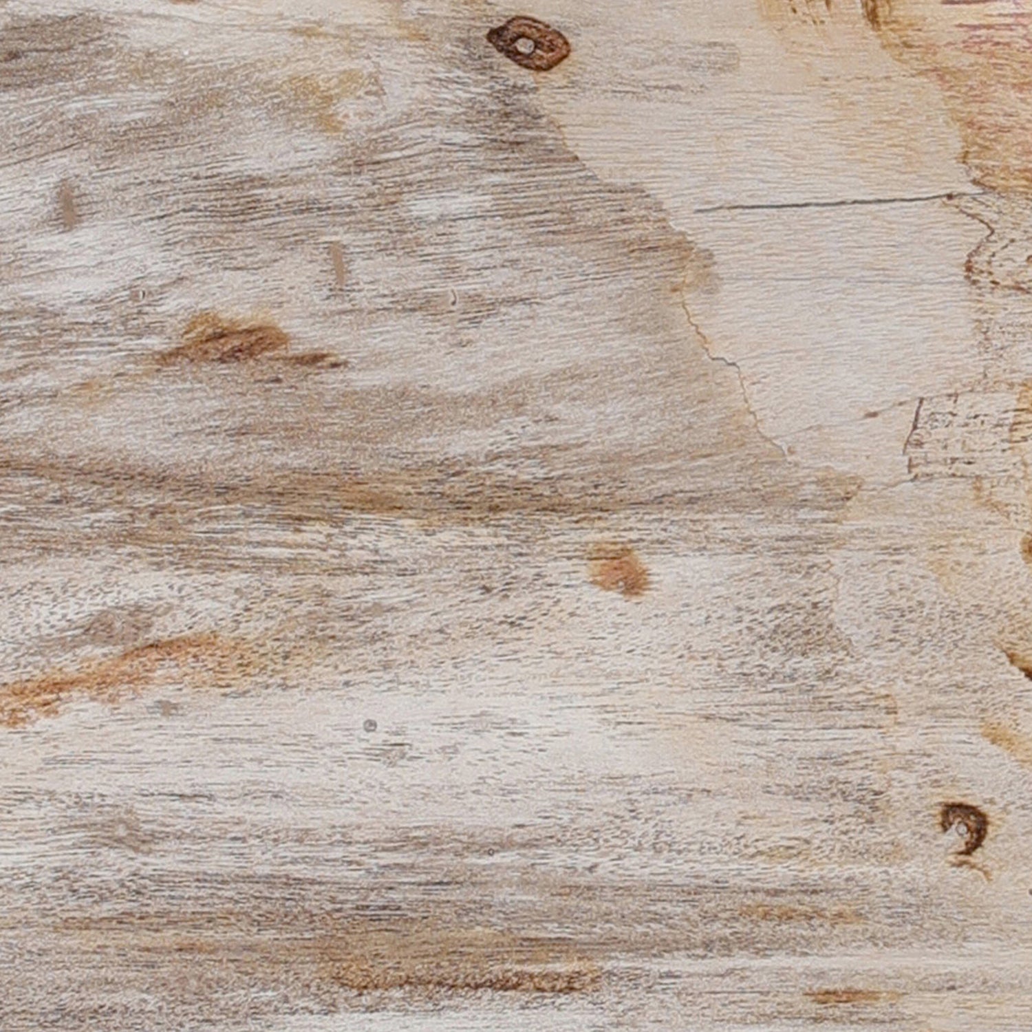 Four Hands Petrified Wood Knot Tabletop Accent