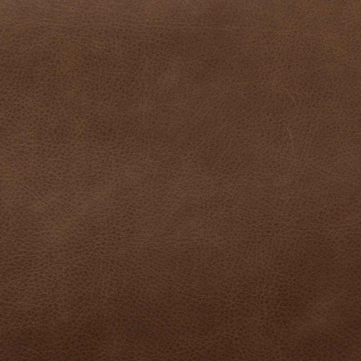 Four Hands Gallagher Palermo Cigar Dining Chair in top-grain leather on drifted parawood, close-up detail of leather, view 6