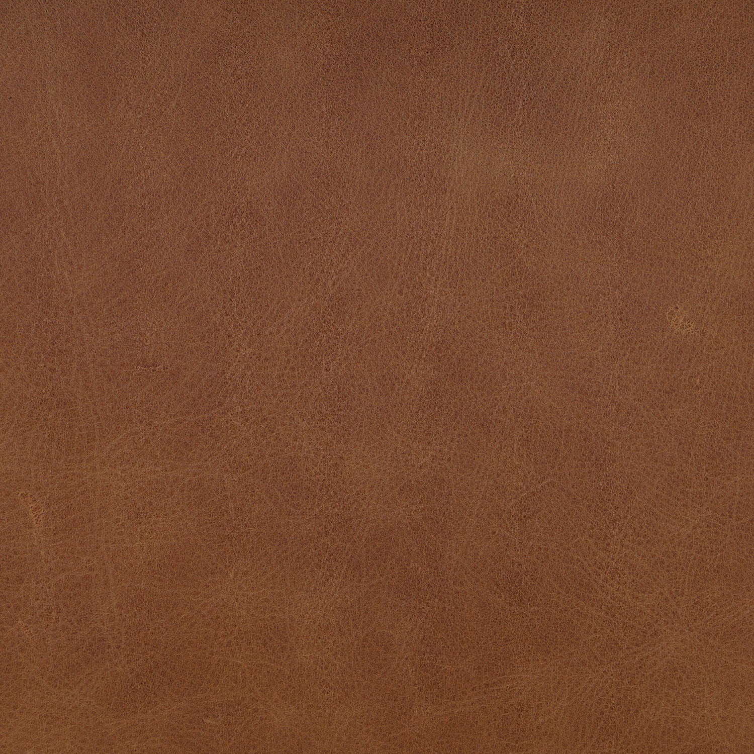 Four Hands Ryver Antwerp Natural Dining Chair Set of 2 with leather back on toasted ash, close-up detail of fabric seat, view 3