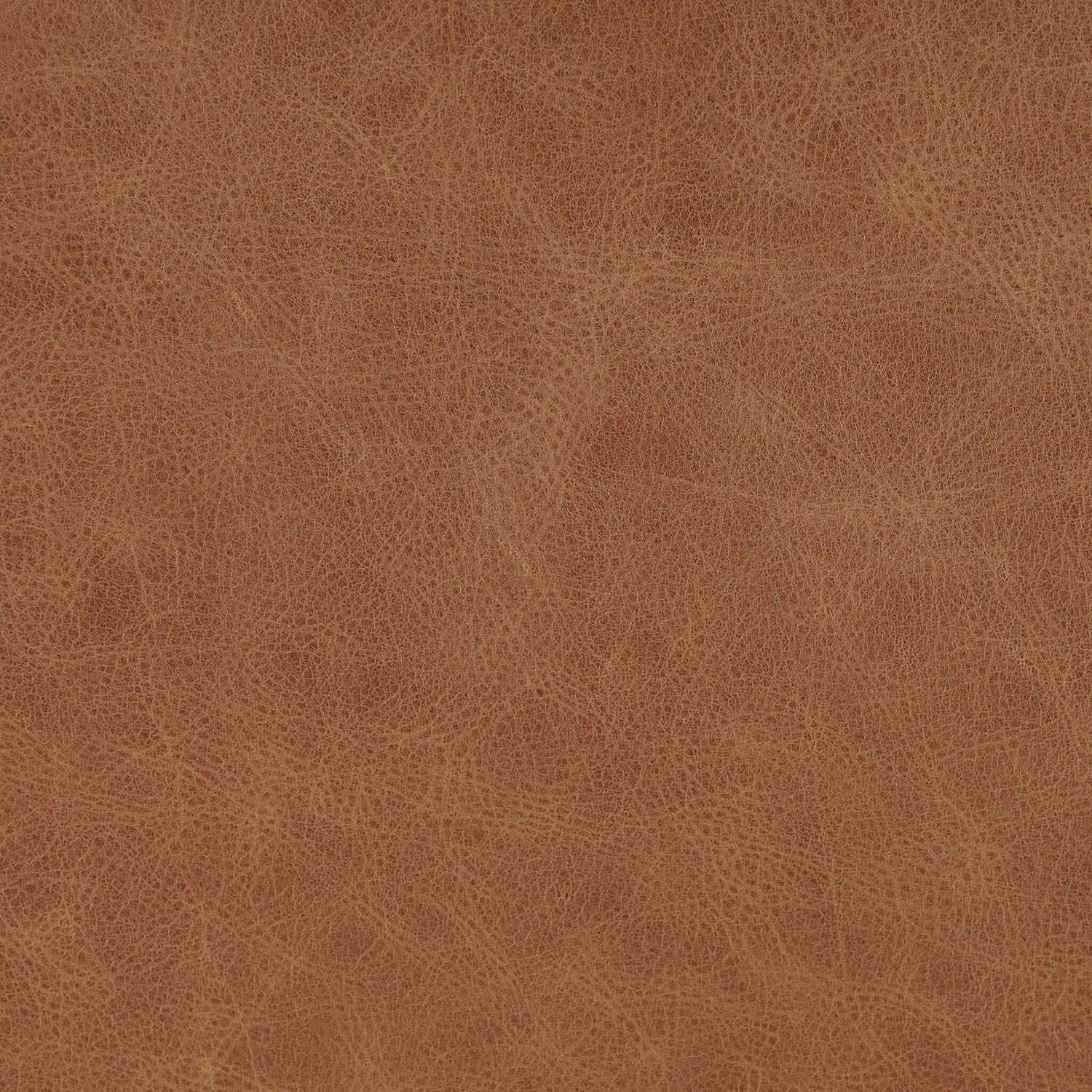 Four Hands Quill Dining Armchair in Chaps Saddle leather with leather-wrapped iron legs, close-up detail of stitching