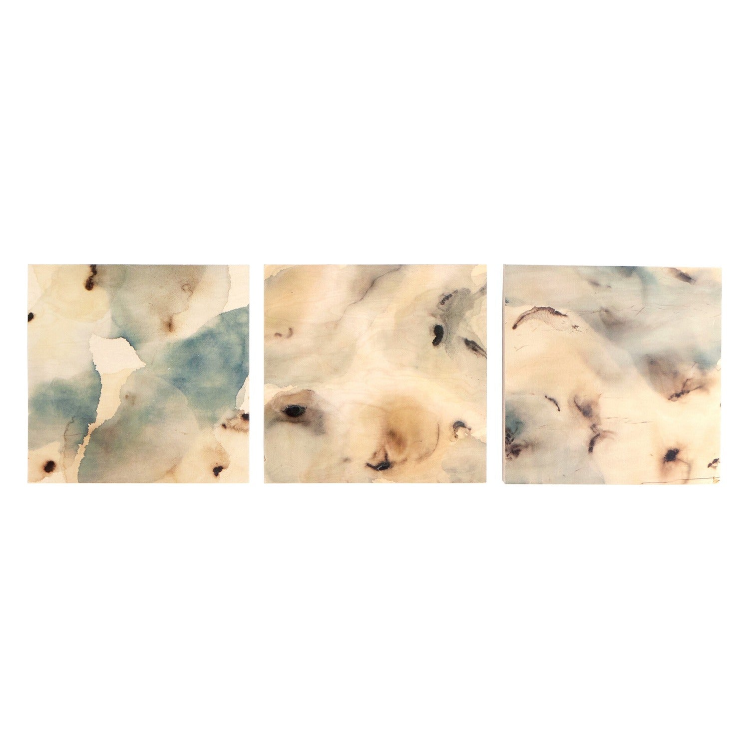 Four Hands x Molly Franken Nostalgia Underneath Triptych Maple Box Art Set