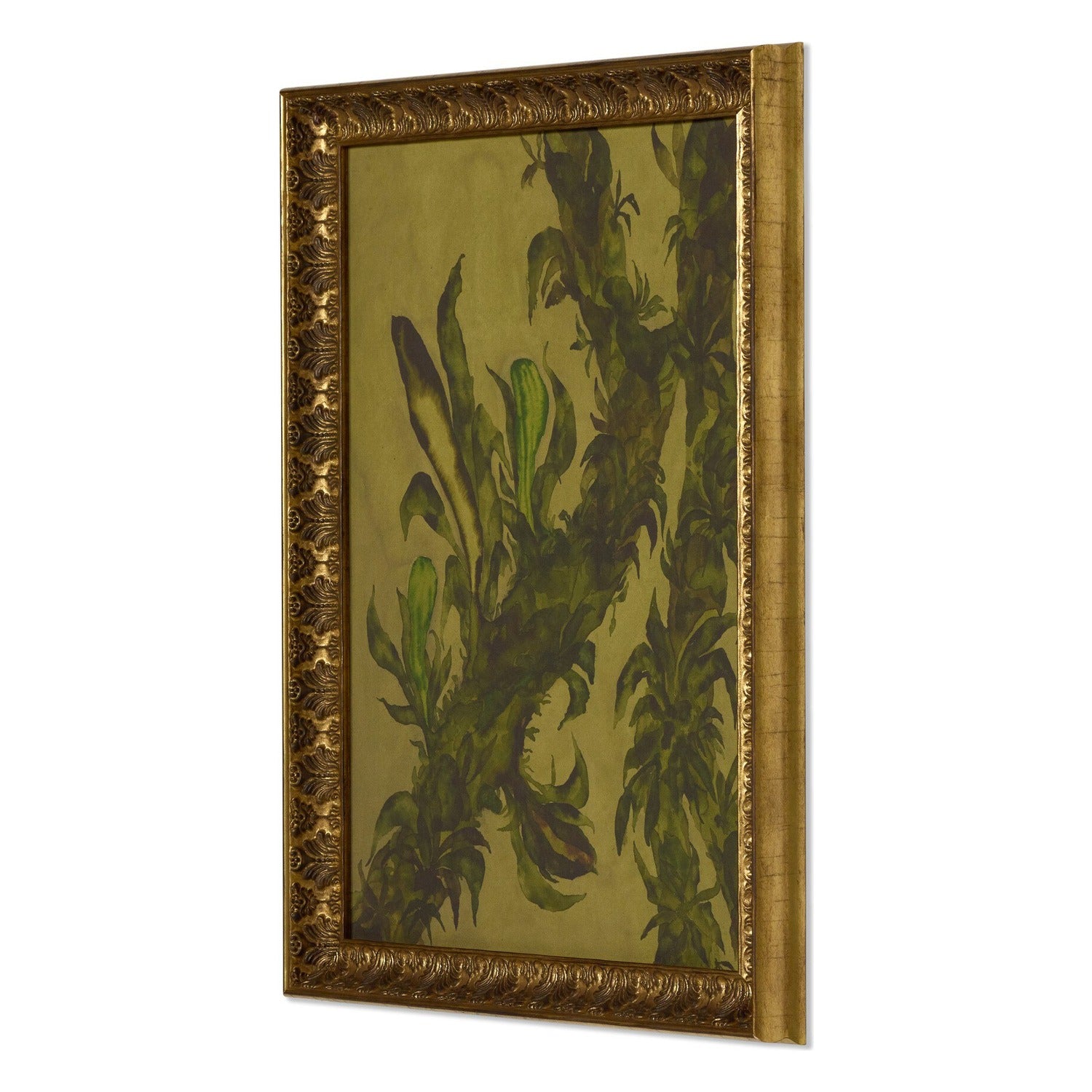Four Hands x Molly Franken Epiphytes Gilded Antique Gold Framed Art