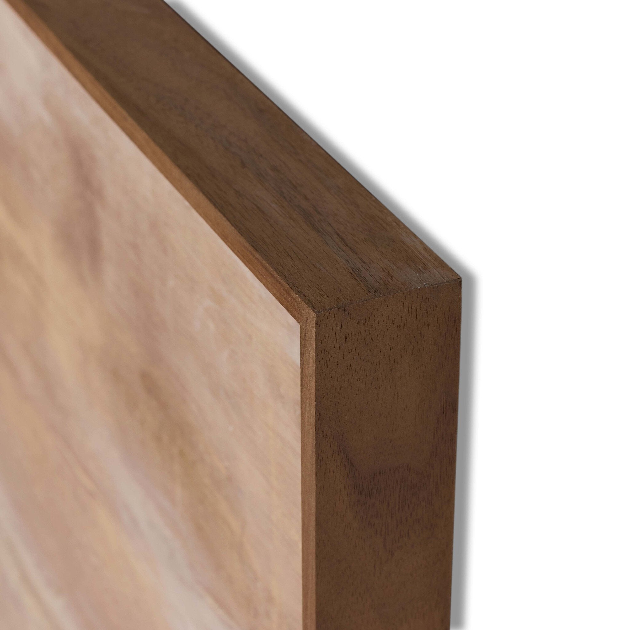 Four Hands x Paul Meyer Ruidosa Framed Art — material and finish detail