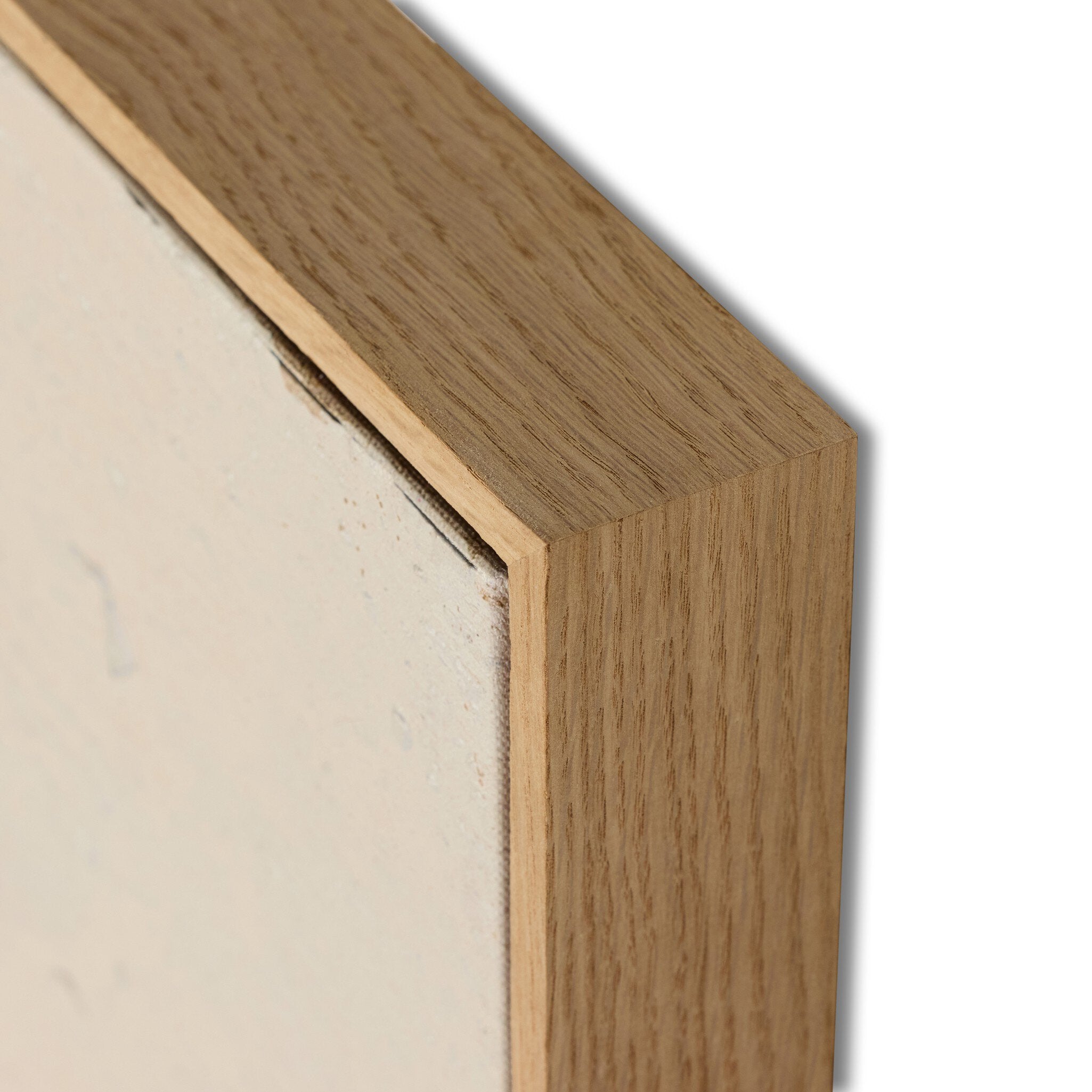 Four Hands x Paul Meyer Acala Framed Art — material and finish detail