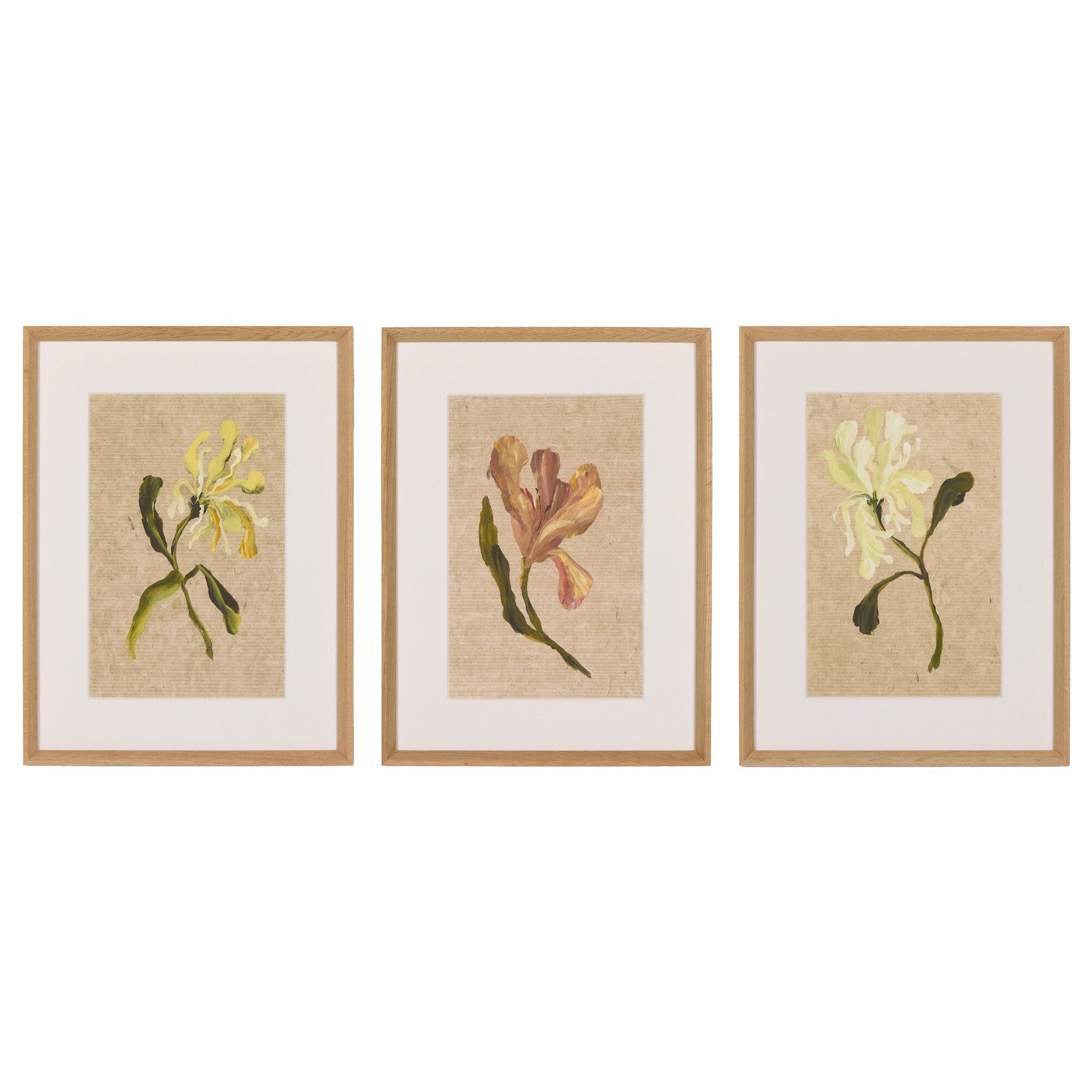 Four Hands x Brittney Schulz Blooms I Triptych Framed Art Set of 3 - styled view