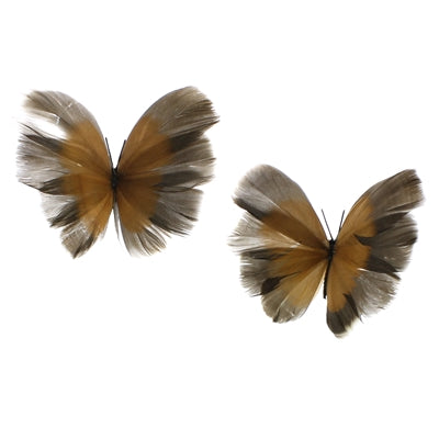 Butterflies on Clip Set of 8