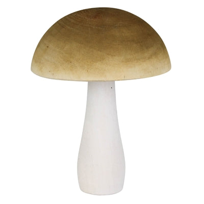 Colorful Mushroom Set of 6