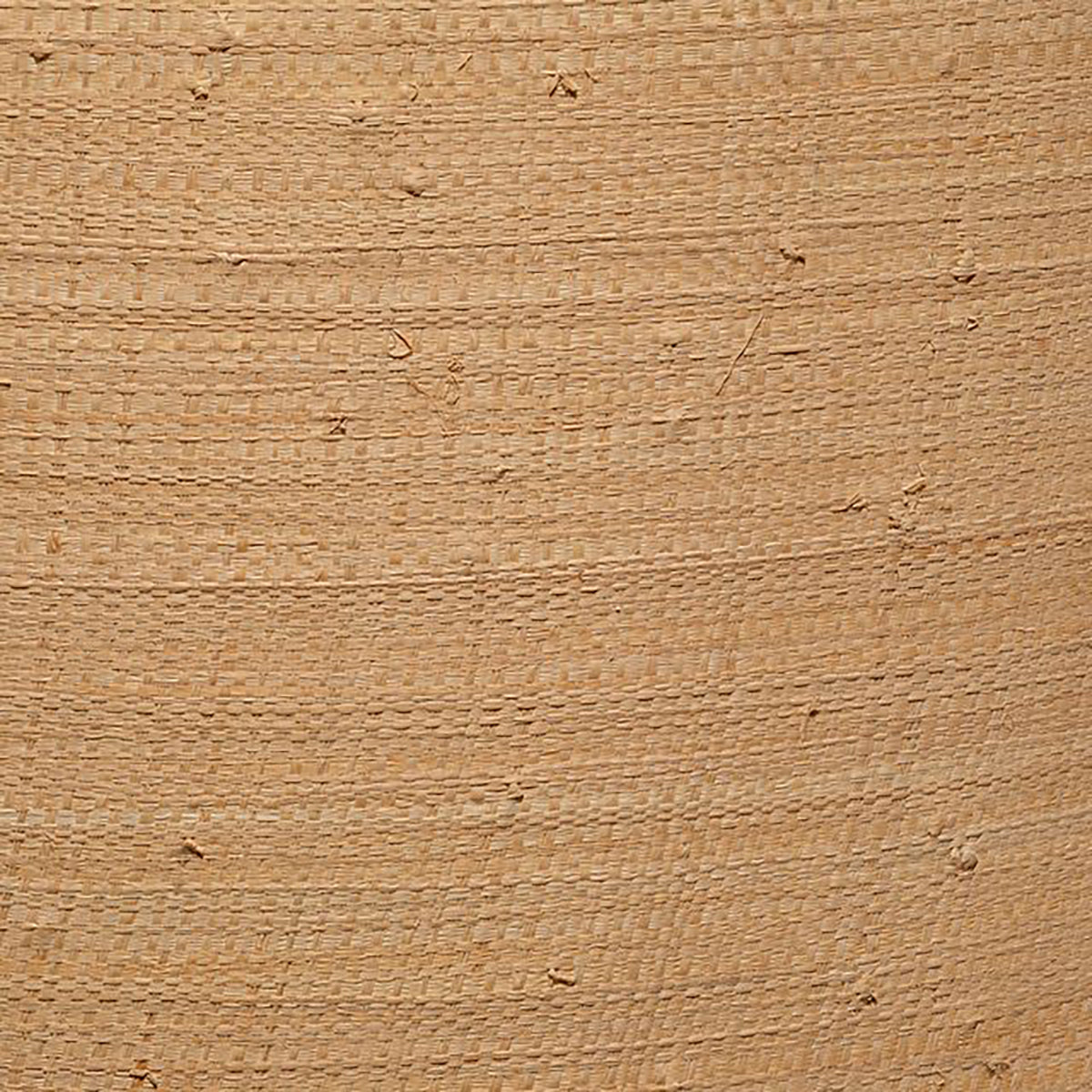 Jamie Young Drum Shade