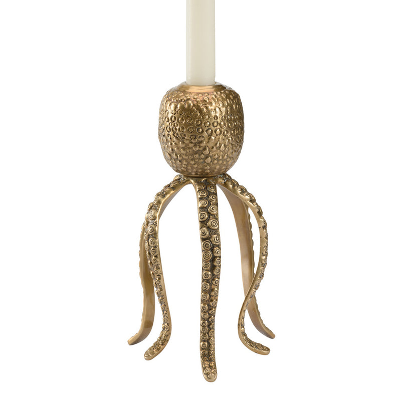 Wildwood Pacific Octopus Candleholder