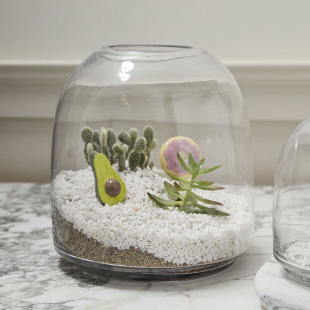 Oliver Terrarium decorative home accent