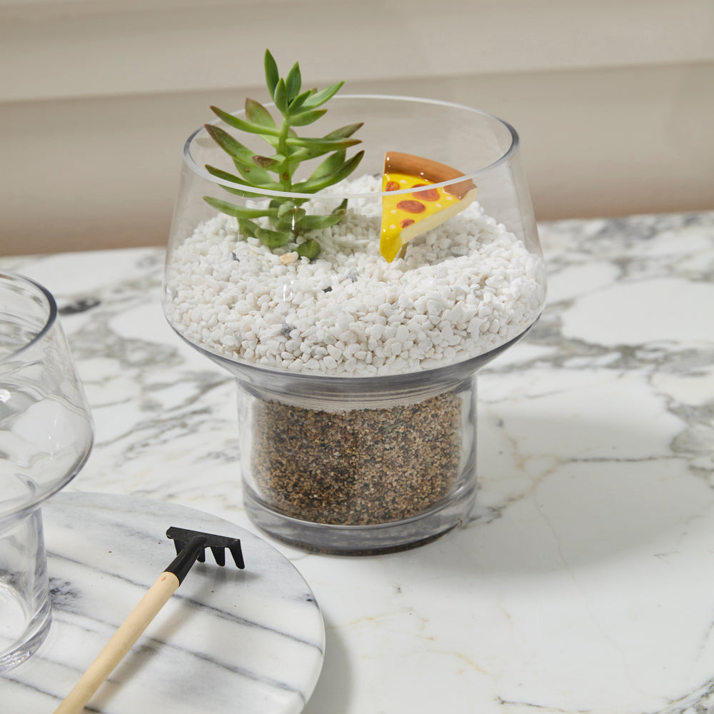 Ficton Terrarium